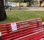 bancovermelho-divulgacao-1-768x433